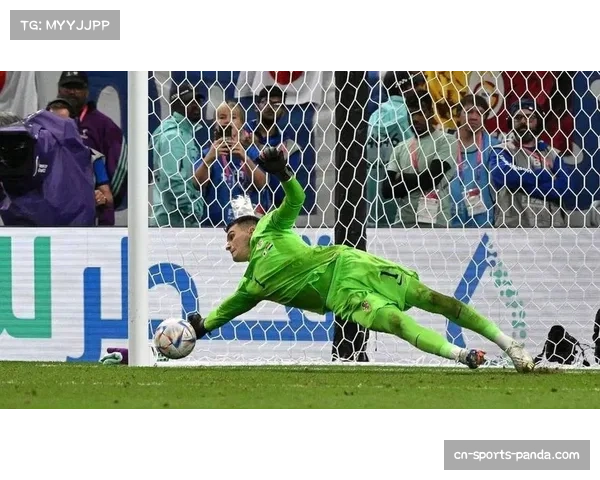 西班牙人门将德米特罗维奇发挥出色 多次关键扑救挽救球队
